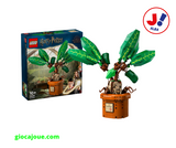 LEGO 76433 - Harry Potter: Mandragola, in vendita da Gioca Joué